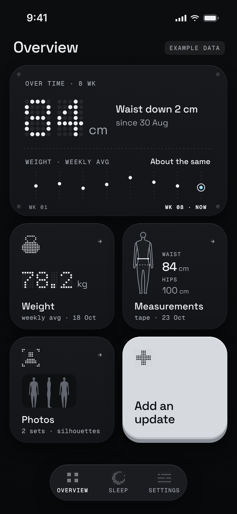 The same Overview screen in dark mode. Example data.