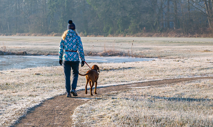 When the quiet days are anything but